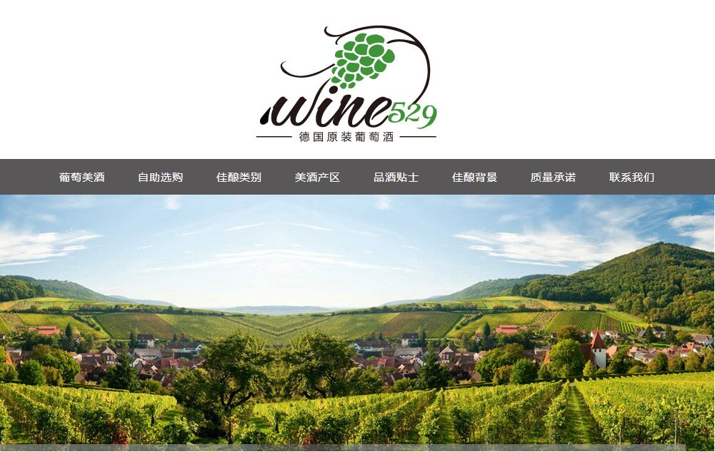 為什么你的網(wǎng)站沒人進(jìn)？來(lái)看看真正的好網(wǎng)站，別讓自己輸在起跑 wine529